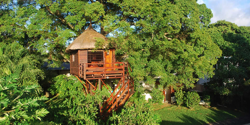 Eco Friendly Lodges and Guesthouse in Mauritius