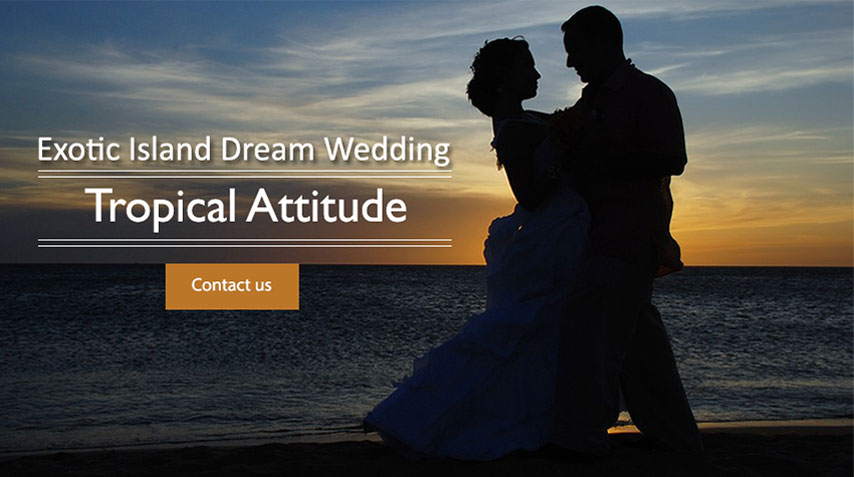 Wedding at Tropical Attitude